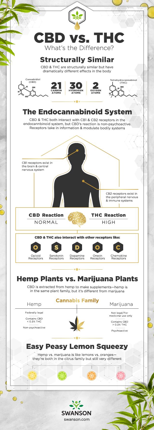 CBD vs THC Infographic