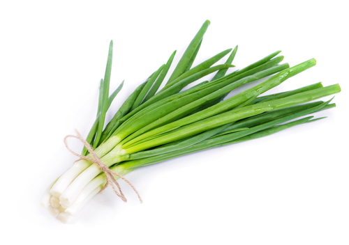 scallions rich in vitamin k2