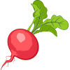radish top hydrating food