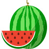 no surprise that watermelon is high in water content