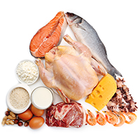 increase protein to avoid overeating