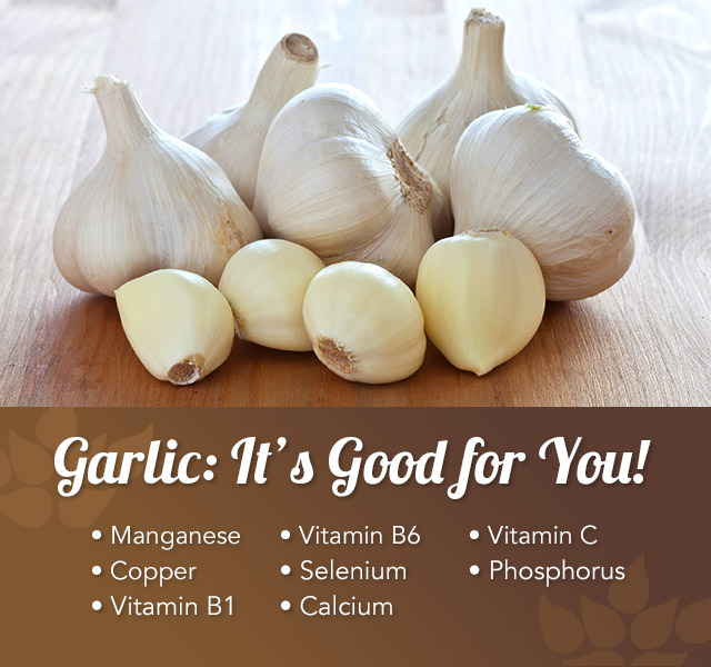 Cluster of garlic bulbs infographic and the nutrients from garlic